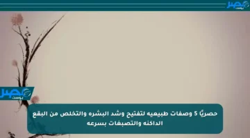 حصريًا 5 وصفات طبيعية لتفتيح وشد البشرة والتخلص من البقع الداكنة والتصبغات بسرعة